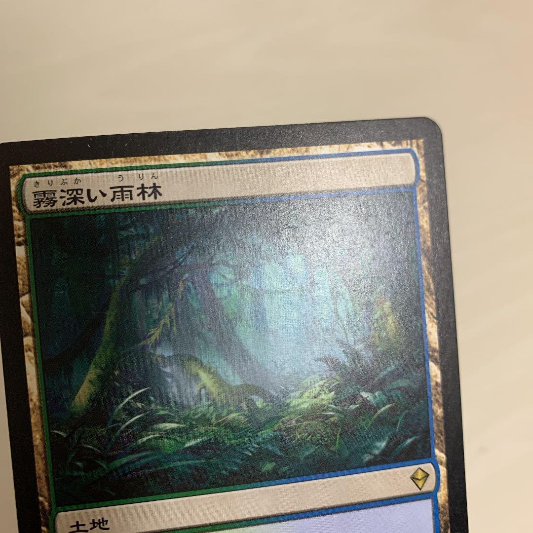 霧深い雨林　日本語版2枚
