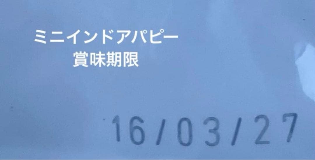  CANIN ミニインドアパピー　ミニインドアアダルト