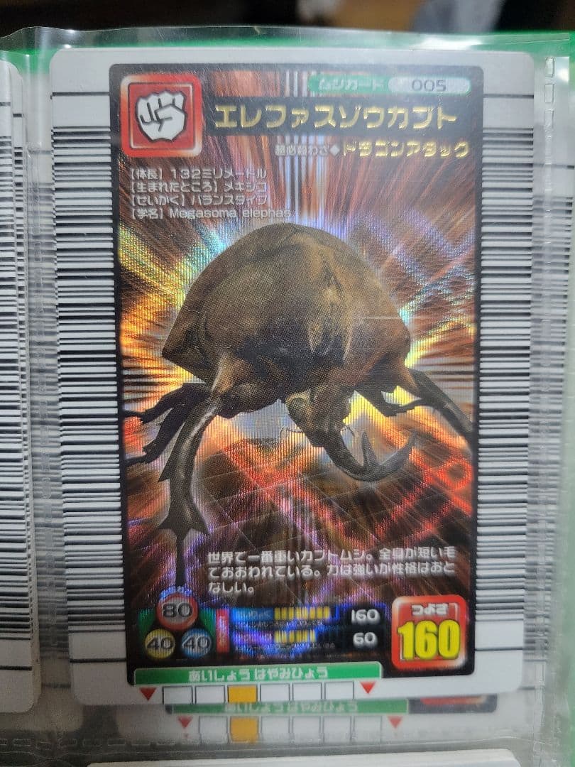 それぞれ100円！(同時購入時)