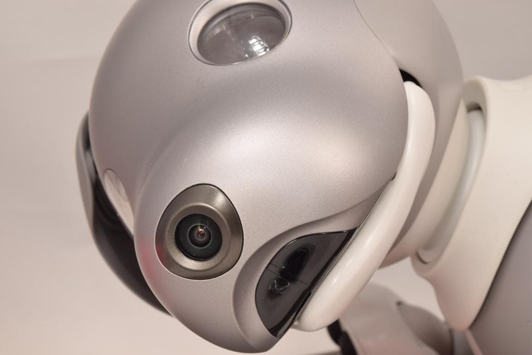 黒ゴマ ソニー アイボ ERS-1000 アイボーン AIBO SONY レア