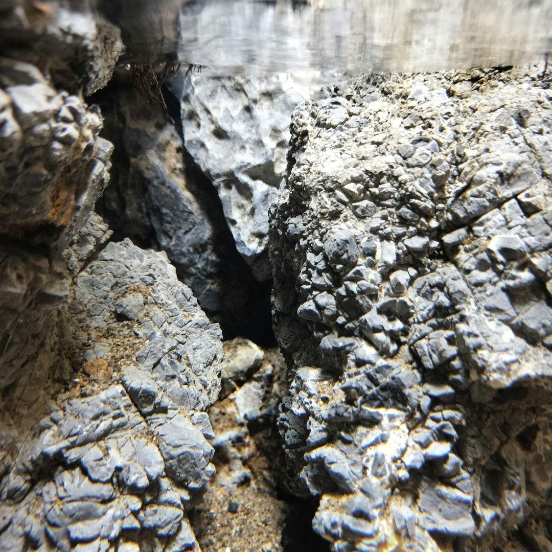 【アクアテラリウム完成品】滝のあるテラリウム パルダリウム アクアリウム