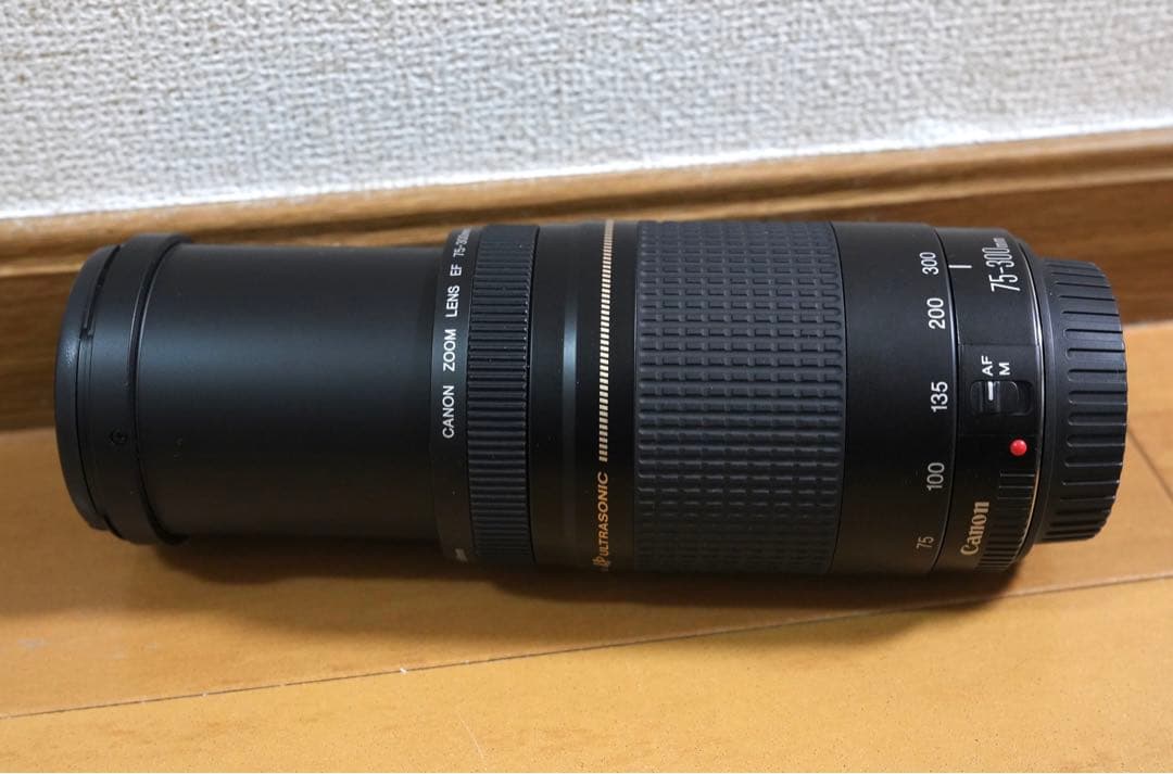 Canon EF 75-300mm F4.5-5.6 II USM美品