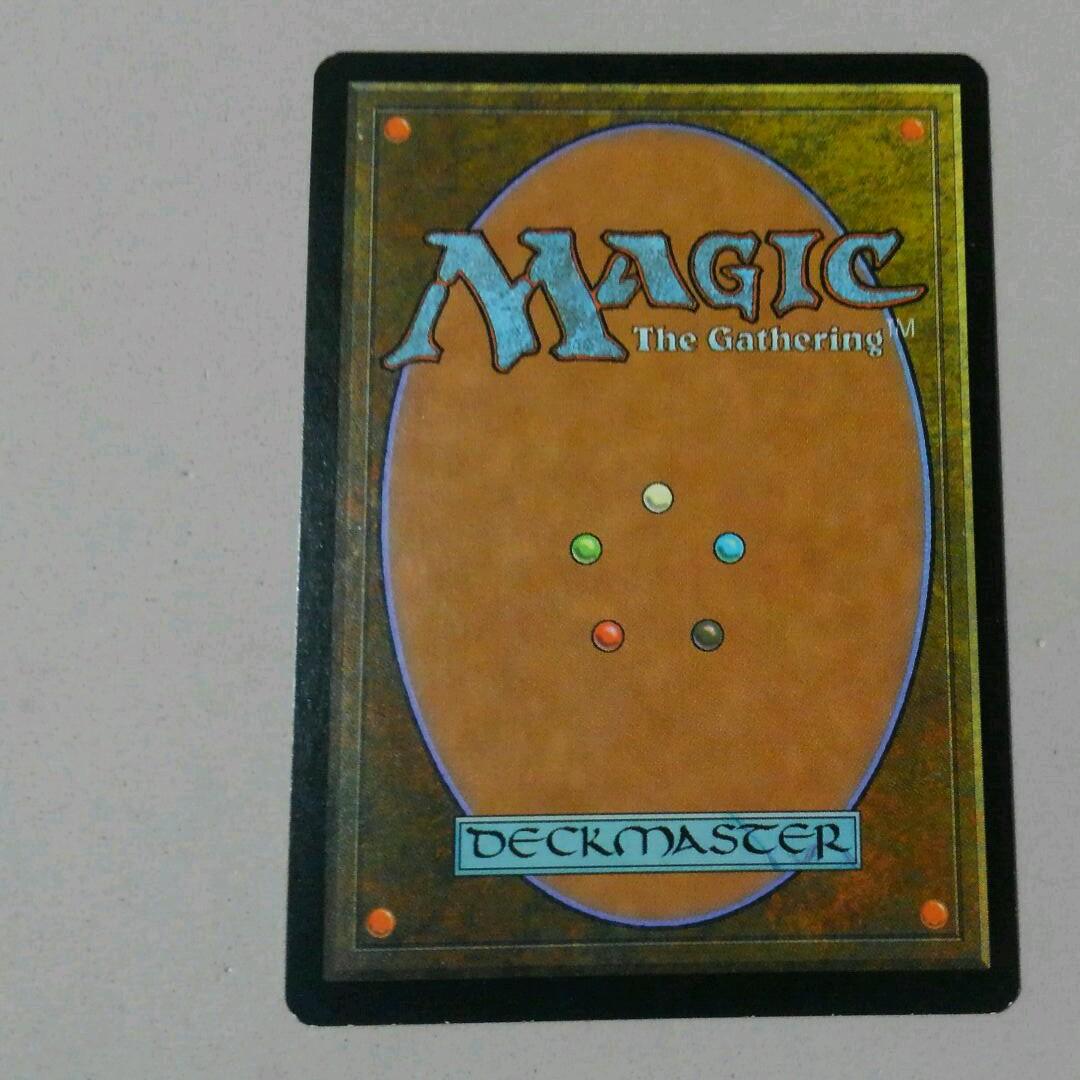 MTG 吸収 Foil 初版 英語