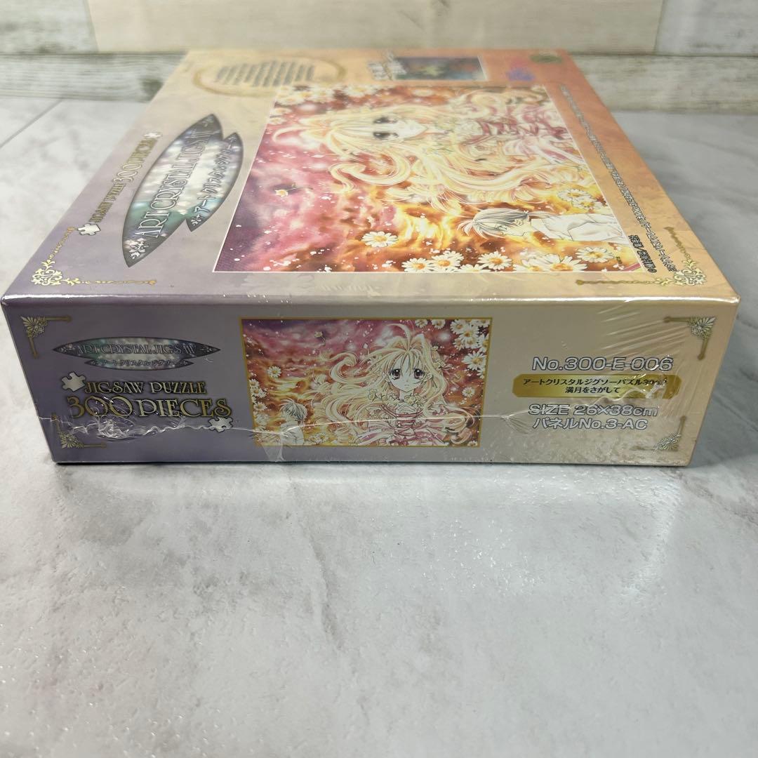 アートクリスタルジグソーパズル 300P 満月をさがして 種村有菜