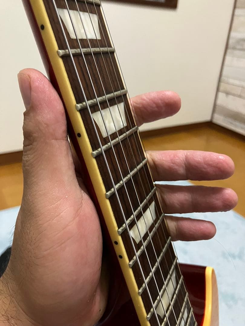 Burny レスポールスタイル エレキギター