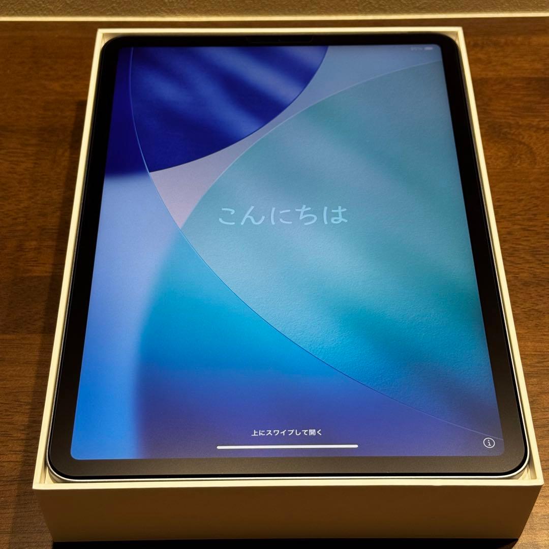 iPad Pro (第2世代) 11インチ 256GB Wi-Fi