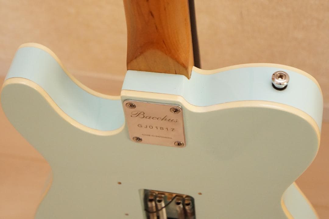 ギター Bacchus / TACTICS-CTM25