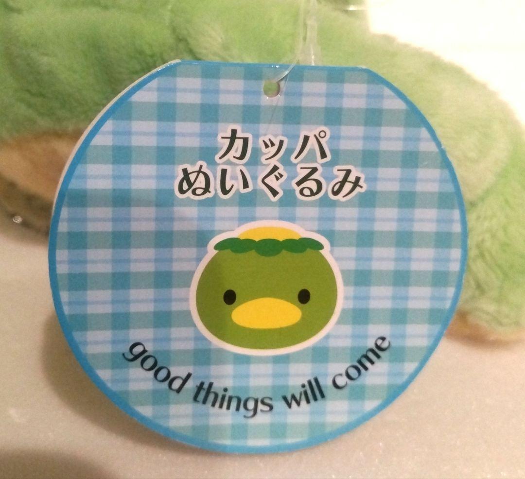 上高地限定 カッパ かっぱ 河童 ぬいぐるみ かえるのピクルス
