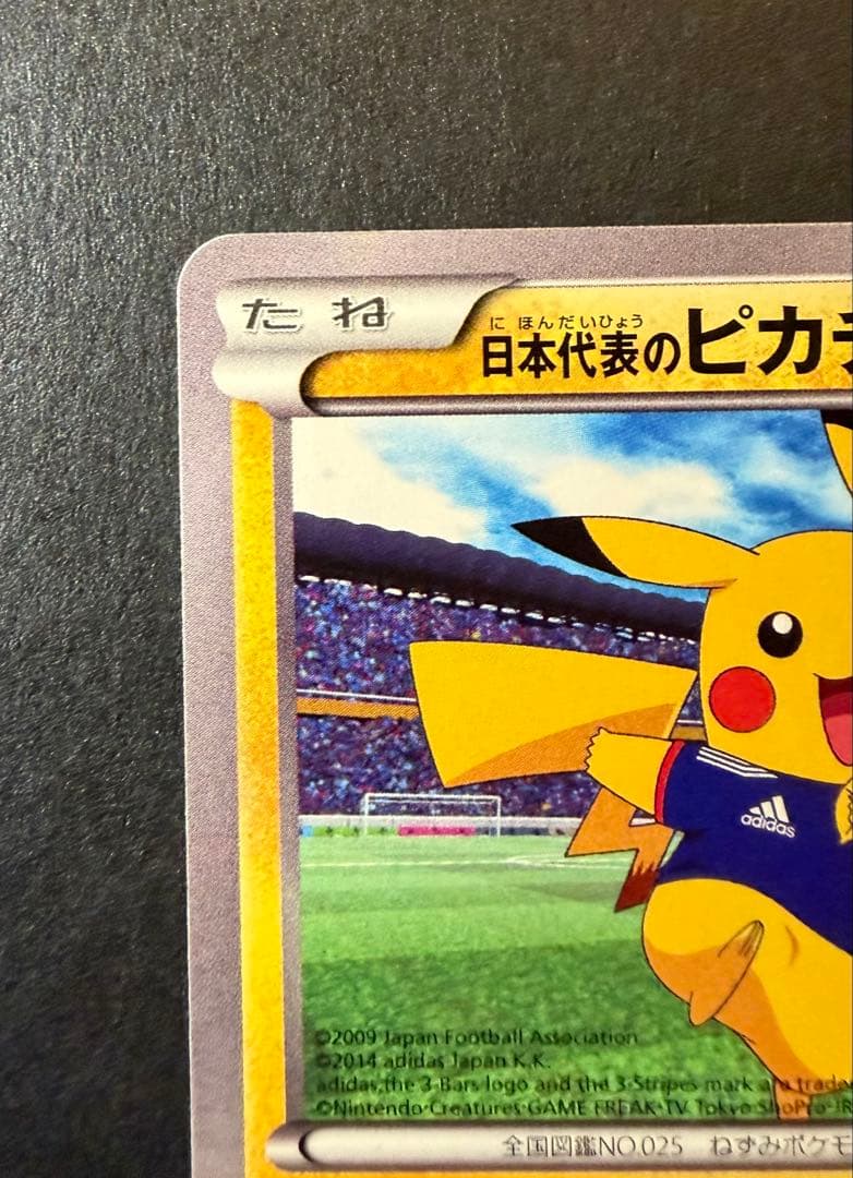 【高騰中！】日本代表のピカチュウ　050/XY-P