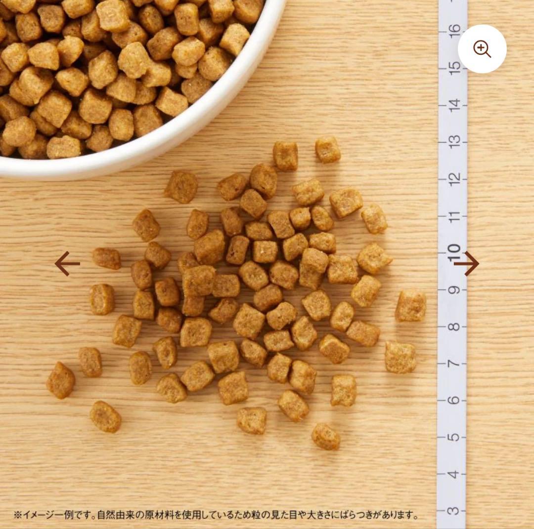 Nutro 小型犬用 チキン＆玄米 3kg 2袋 ニュートロナチュラルチョイス