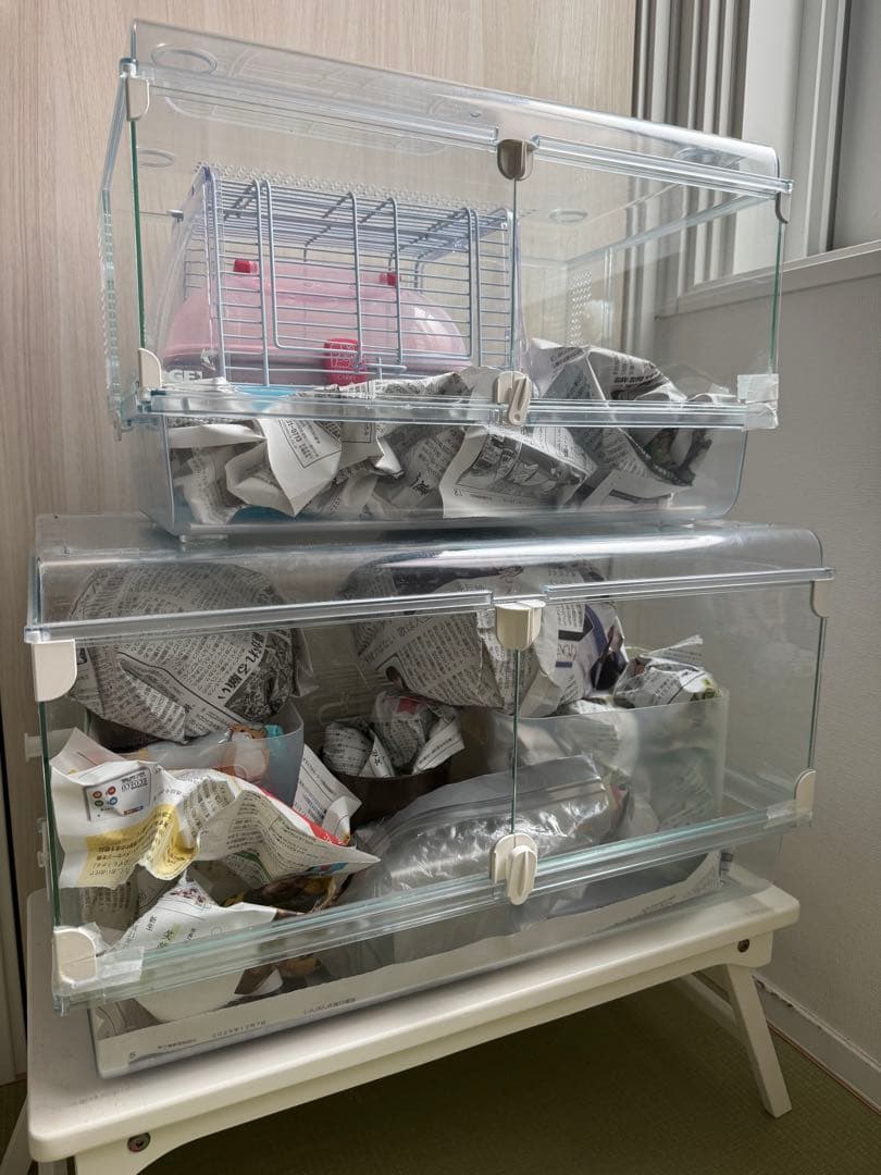 ハムスター２匹すぐ迎えられるセット