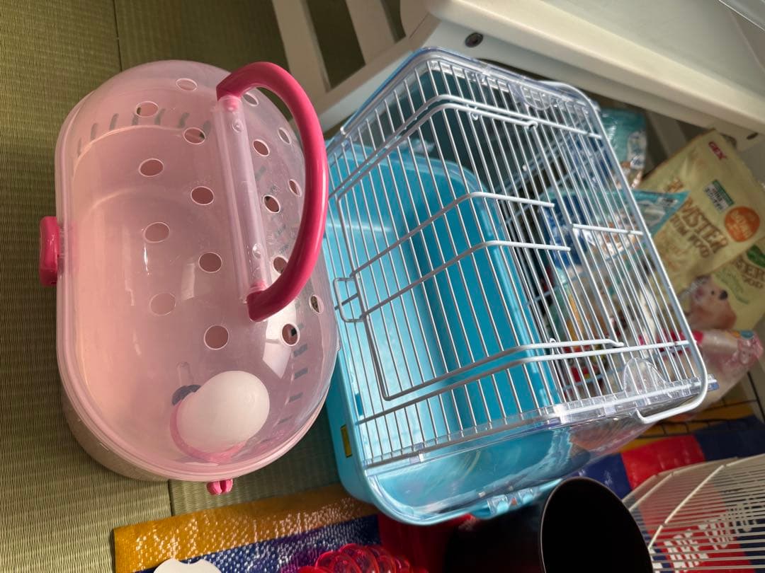 ハムスター２匹すぐ迎えられるセット