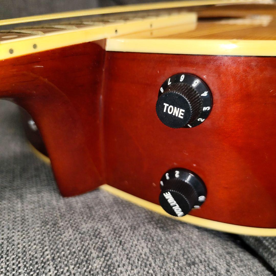 エレアコ Legend Powerd by ARIA LJ-15EN