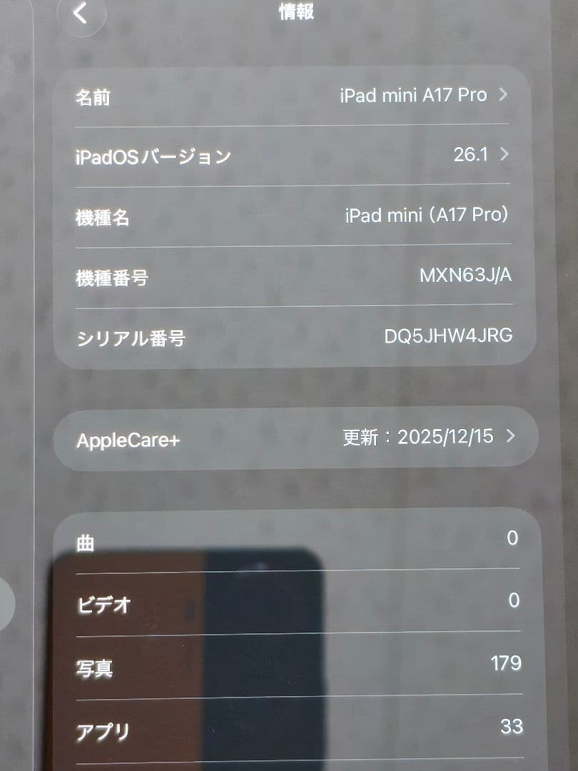 【美品】Apple iPad mini A17Pro（第7世代）