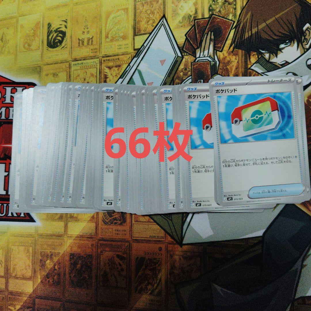 ポケモンカード　ポケパッド 66枚　（コロちゃお版）