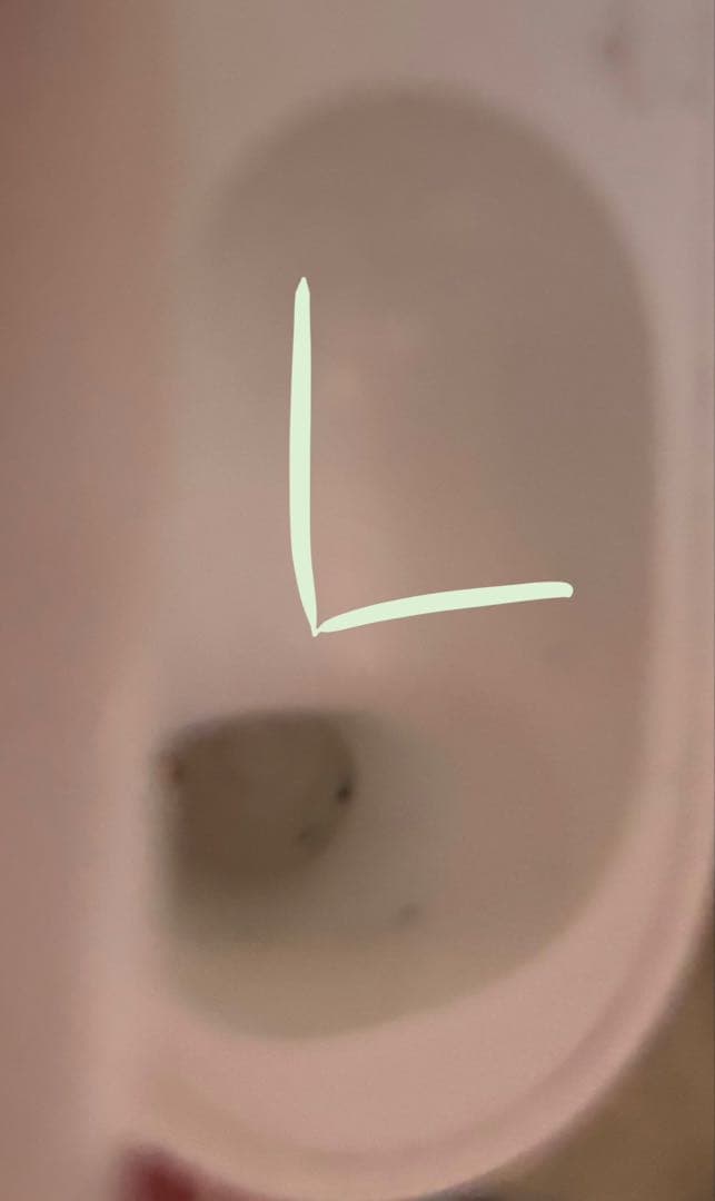 Apple AirPods Pro 2ライトニング 充電ケース付き