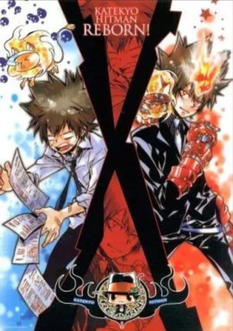 CF2011 限定 A3クリアポスター 家庭教師ヒットマンREBORN 沢田綱吉