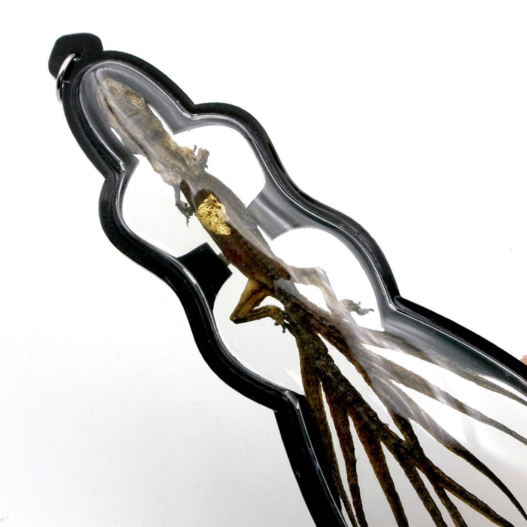 タイ お守り 9尾のトカゲ ヤモリ ギャンブル ビジネス運 現地購入