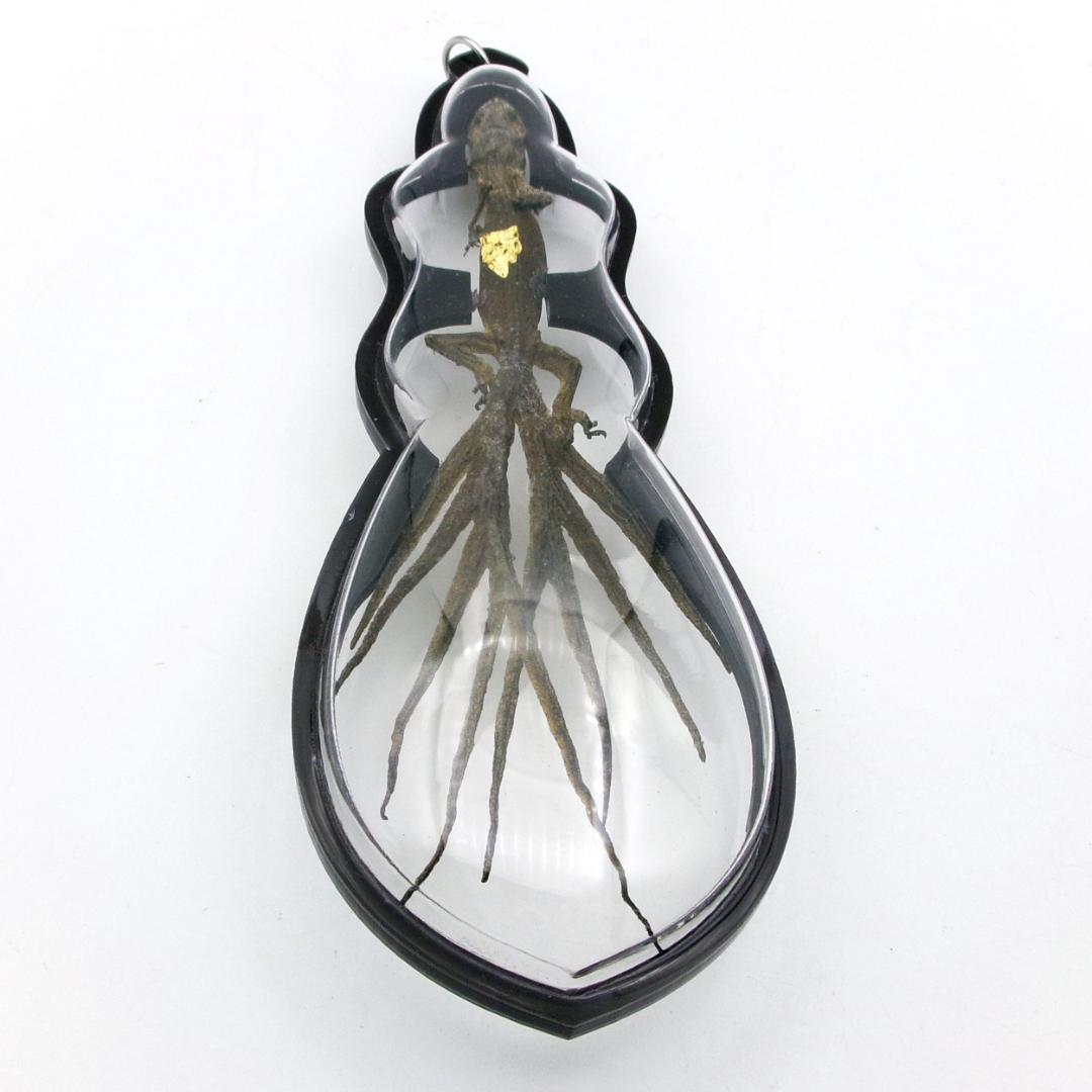 タイ お守り 9尾のトカゲ ヤモリ ギャンブル ビジネス運 現地購入