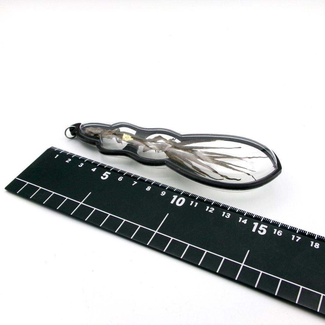 タイ お守り 9尾のトカゲ ヤモリ ギャンブル ビジネス運 現地購入