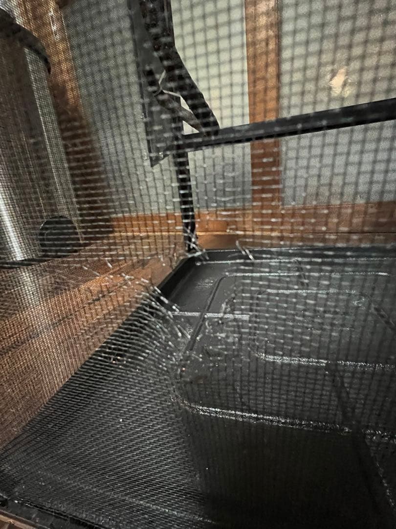 エキゾテラメッシュゲージセット