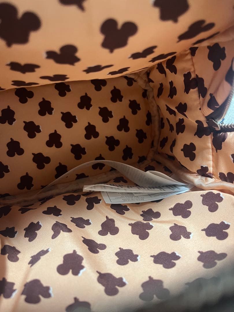 【超希少】【美品】海外ディズニー　ラウンジフライ　ミッキーアイス リュック