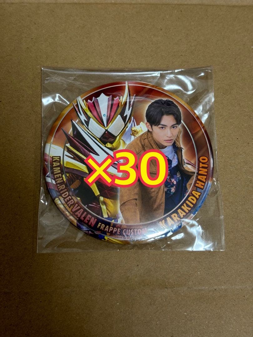仮面ライダーガヴ 辛木田絆斗 仮面ライダーヴァレン 日野友輔 缶バッジ×30