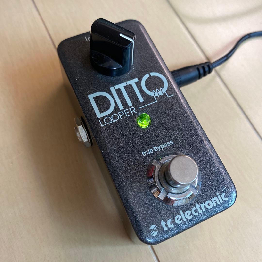 ギター TC Electronic Ditto Looper