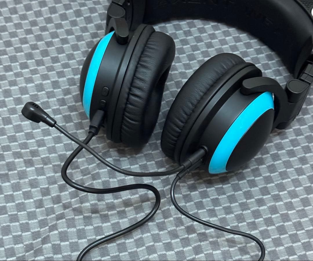 Brookstone Cat Ear Headphones（猫耳ヘッドフォン）