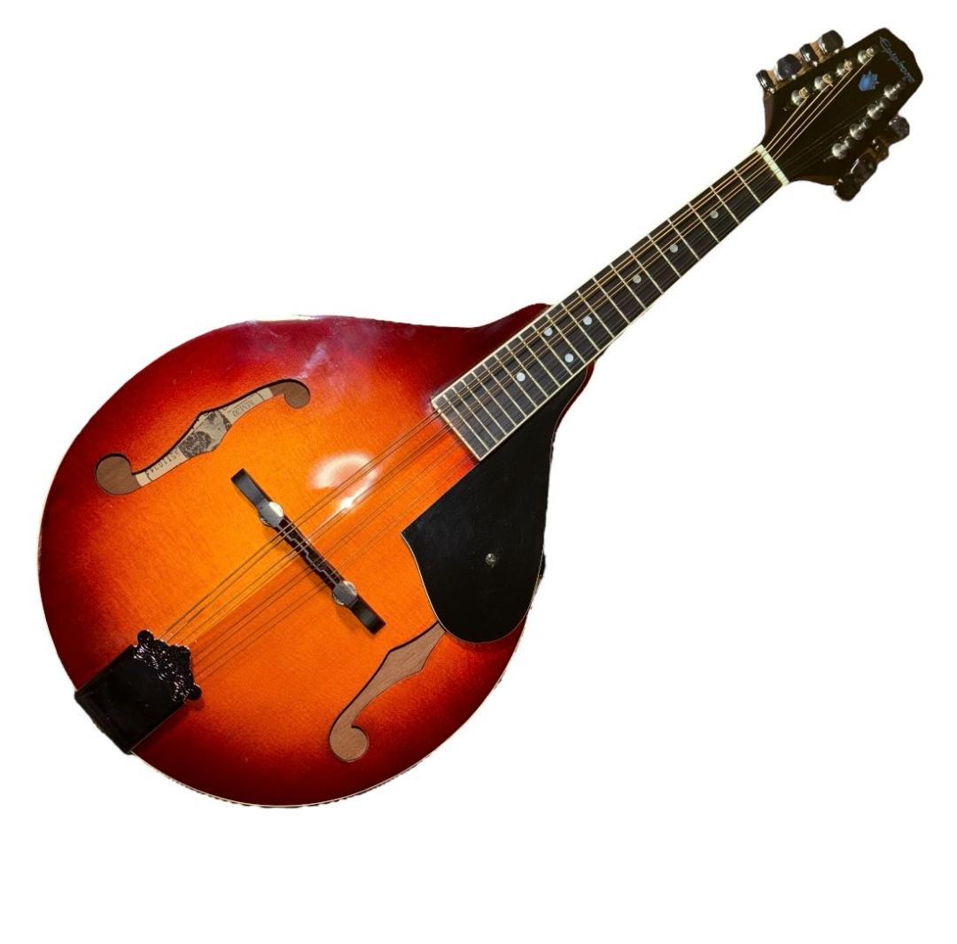 【希少】EPIPHONE エピフォン フラットマンドリン MM-30