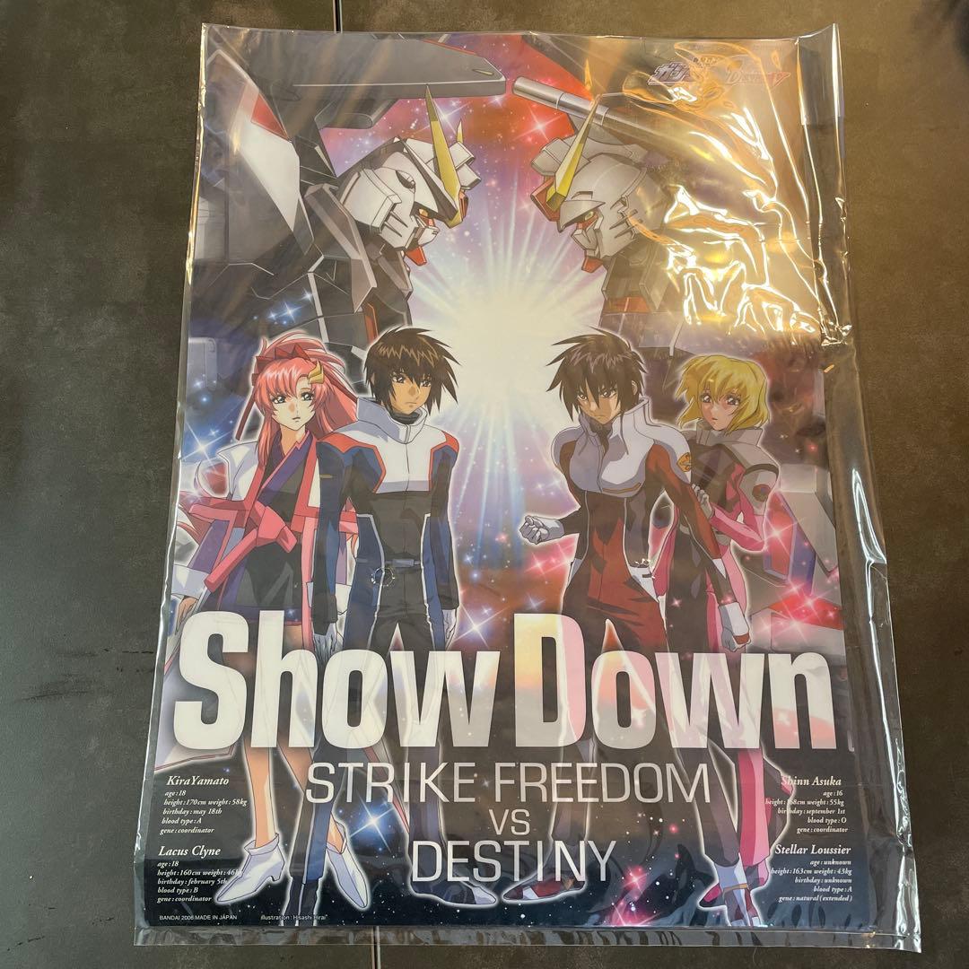 新品未使用！MG ストライクフリーダムガンダム フルバーストモード