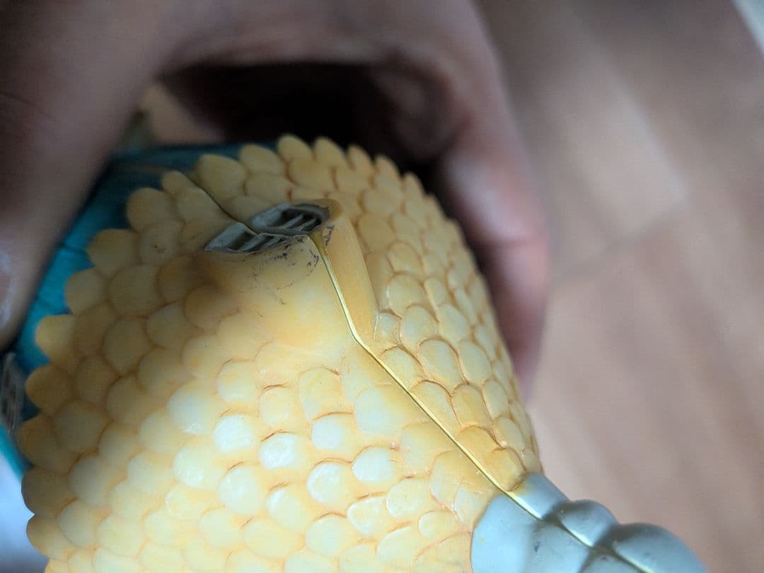 【限定品】ムーミン　ミニチュアオープンハウス　森の香り懸賞