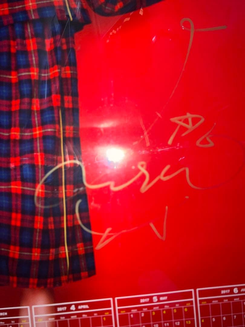 LiSA サイン入りポスター ポッキーカレンダー2017