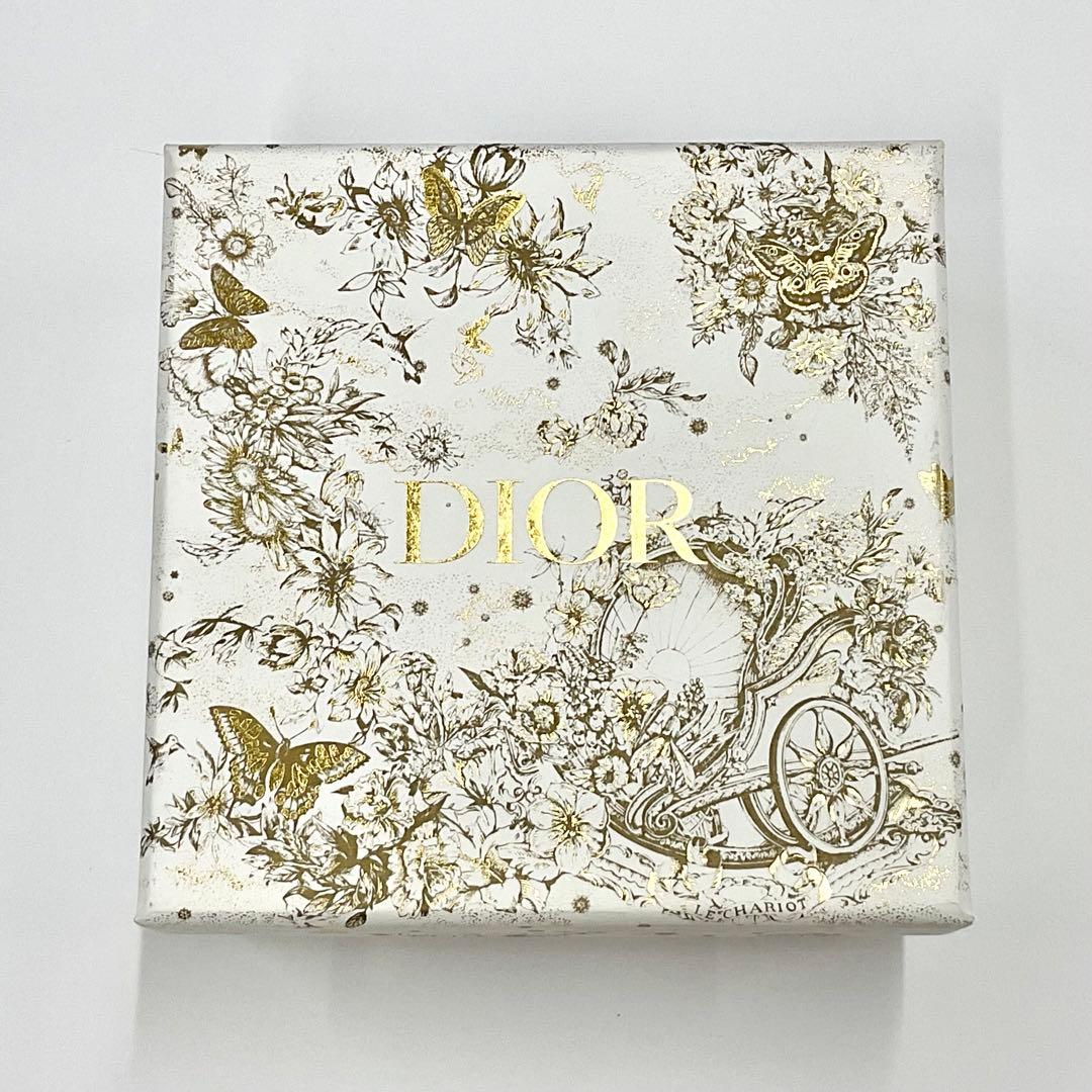 クリスチャンディオール CD カナージュ チェーン airpodsケース