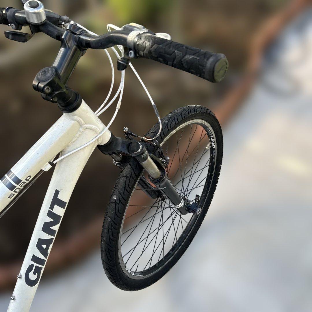GIANT SNAP自転車