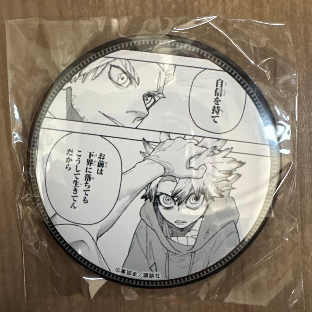 ガチアクタ くじ引き堂 缶バッジ ルド＆グリス