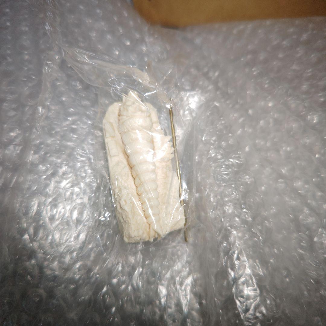 ダイモス　キングギドラ　ガレージキット　未組立　現状品