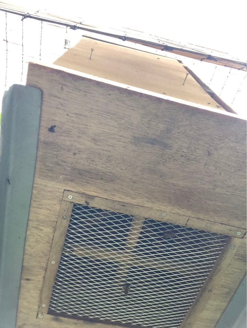 日本蜜蜂 重箱用巣箱台 メッシュ底板セット 29cm用