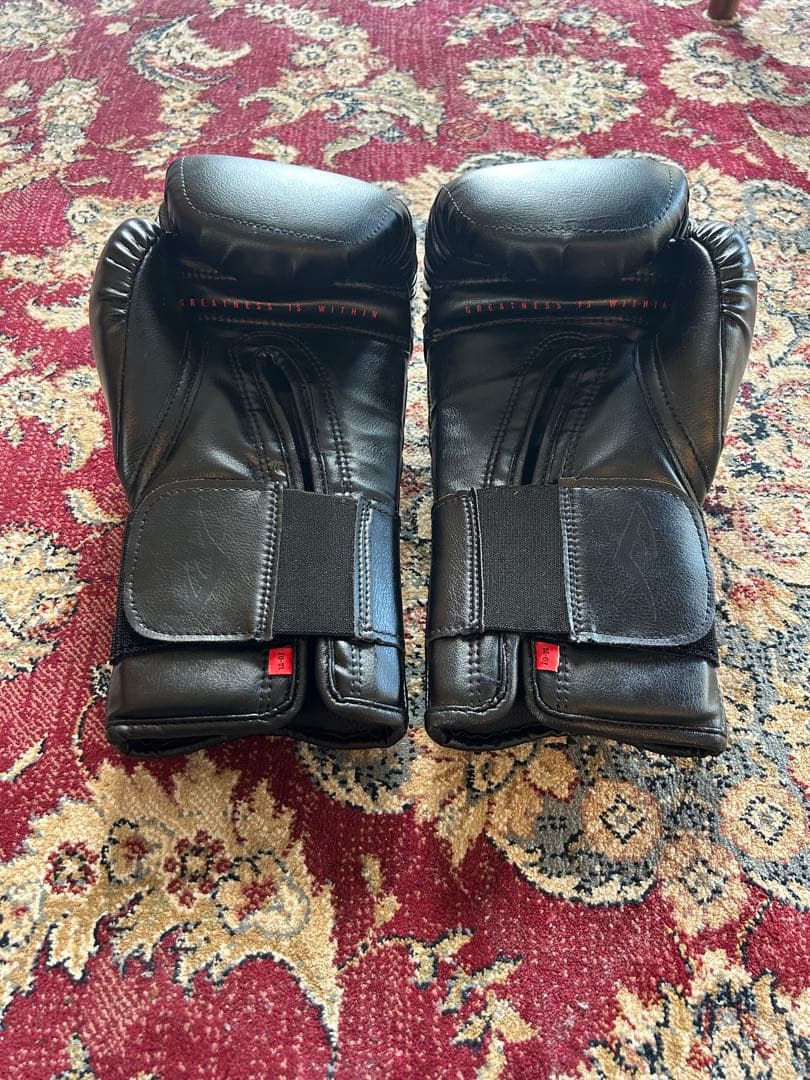 【服売ります】エバーラストエリート　プロトレーニンググローブ