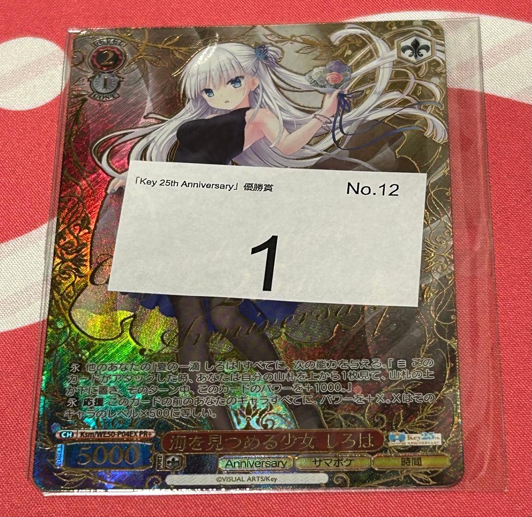 ヴァイスシュヴァルツ 海を見つめる少女 しろは　PR＋