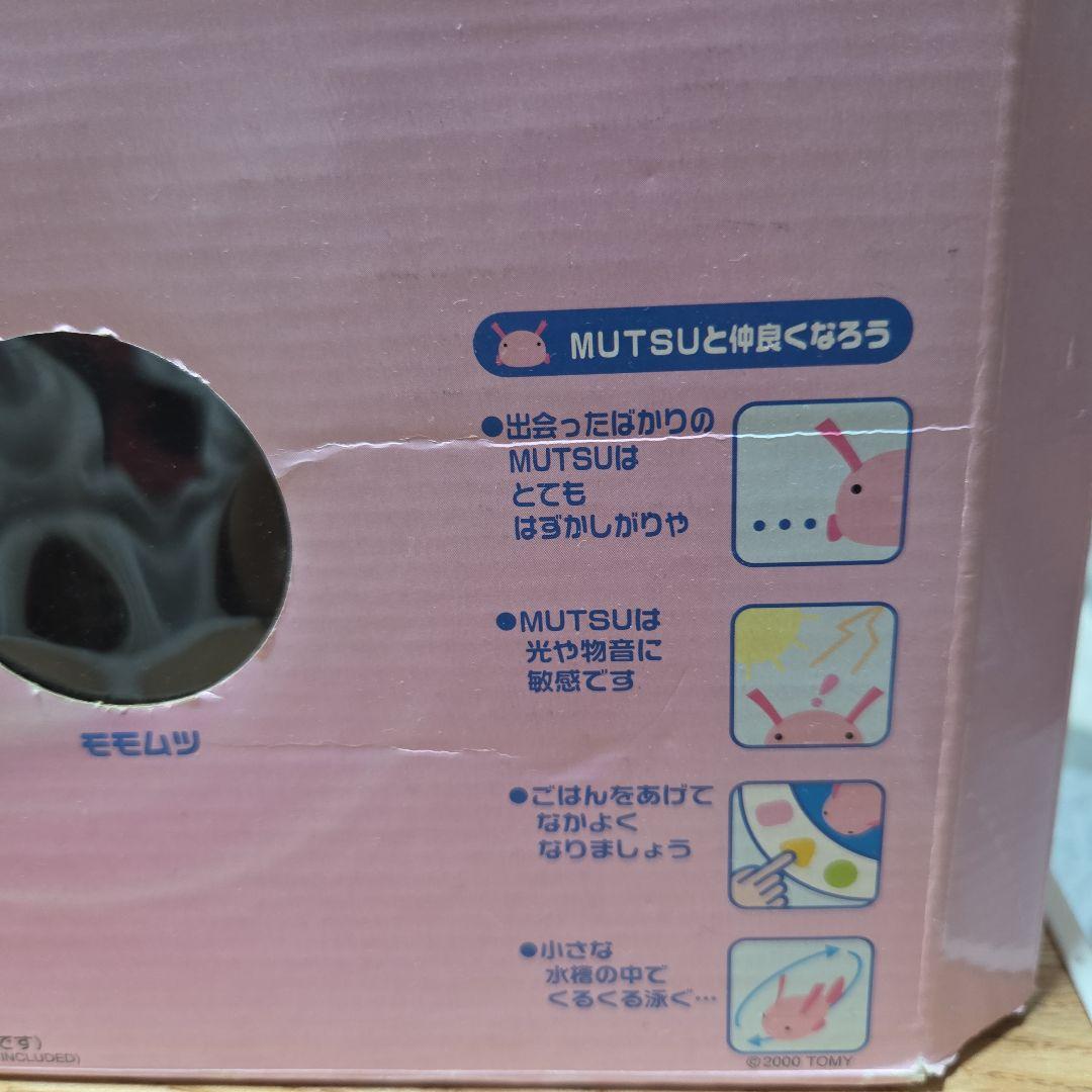 MUTSU　ウォータールーパー　ムツ