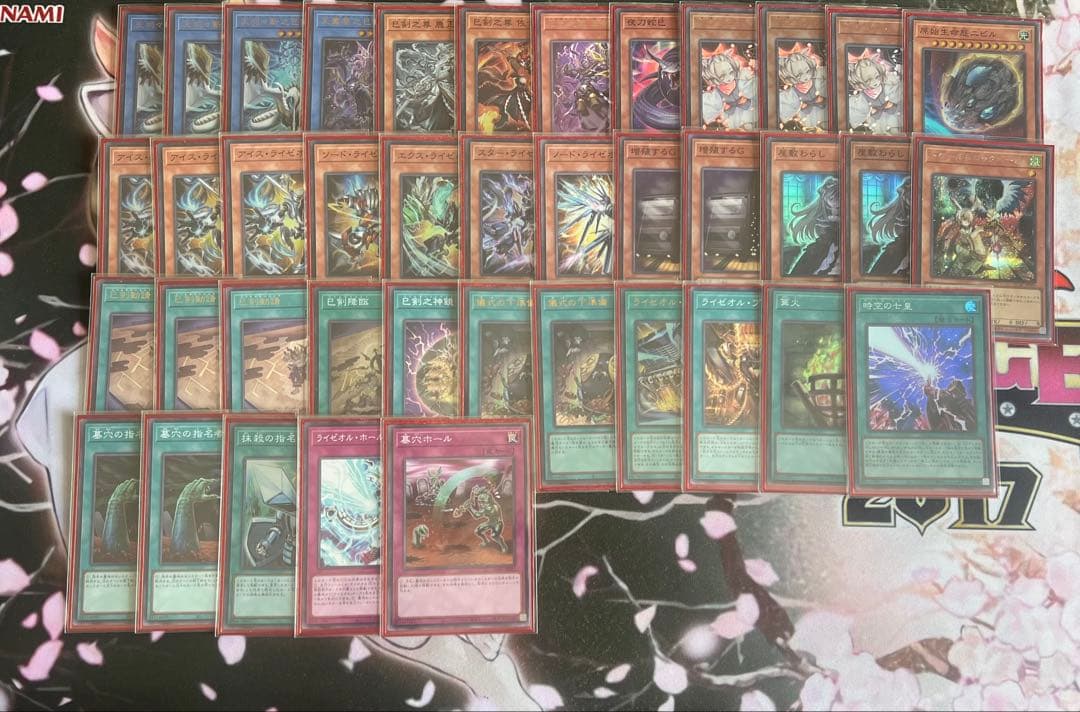 遊戯王　巳剣ライゼオルデッキ　サイドデッキあり