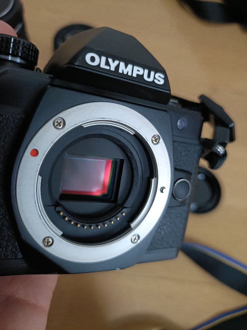 OLYMPUS OM-D E-M10MarkIIミラーレス一眼カメラ
