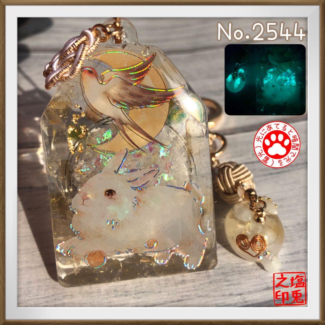 桔梗 サマ♡10点☆6/1