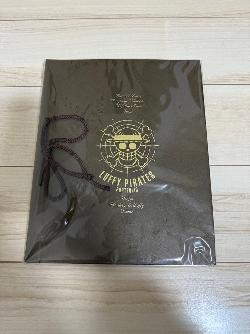 ワンピース　ポートフォリオ ルフィ海賊団　ナミ　ポートレート