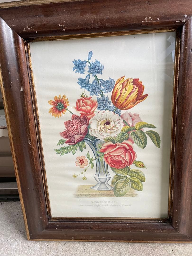 ビンテージ/イタリア製/ウッドフレーム/ボタニカル/額装/金縁/大型/店舗什器