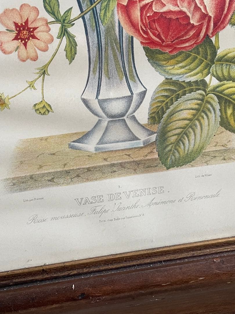 ビンテージ/イタリア製/ウッドフレーム/ボタニカル/額装/金縁/大型/店舗什器