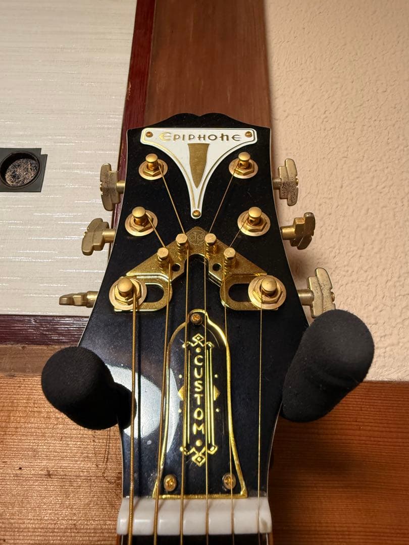 Epiphone Wildkat トンデモ改造品　ビザールギター