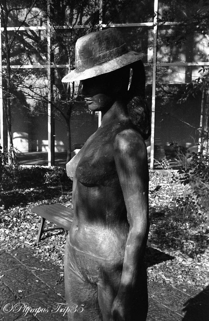 【整備済完動品作例あり】Olympus Trip 35 コンパクトフィルムカメラ