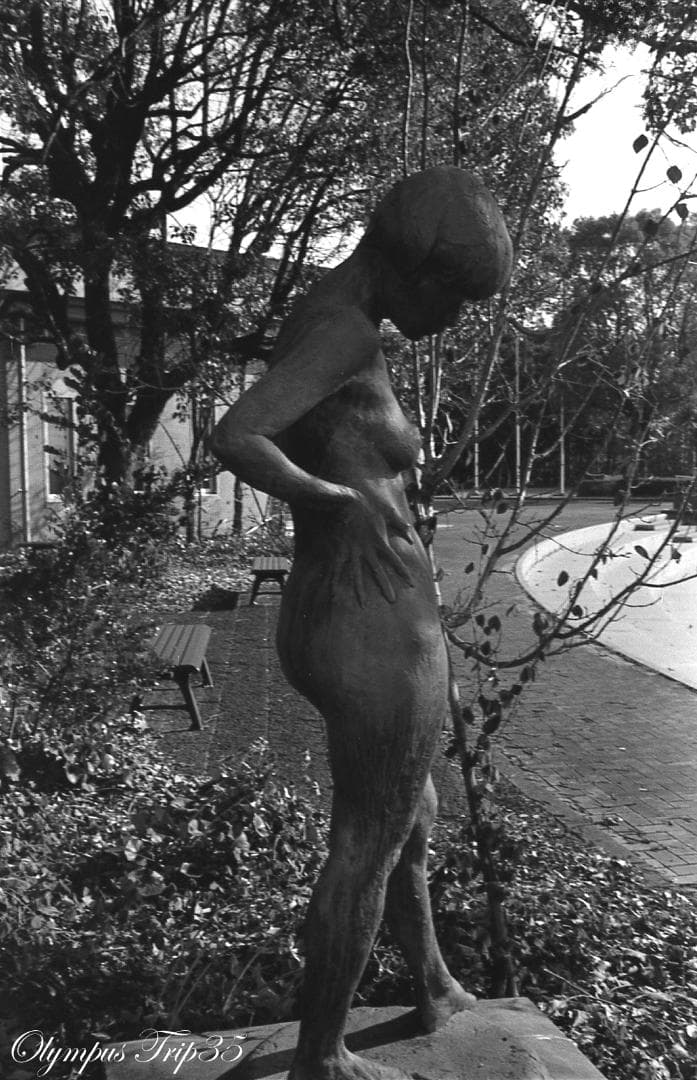 【整備済完動品作例あり】Olympus Trip 35 コンパクトフィルムカメラ